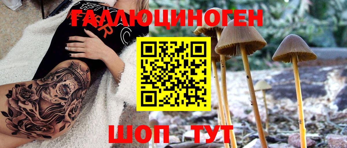 Псилоцибиновые грибы Psilocybine cubensis  Вход с VPN  Ставрополь  Галлюциногенные грибы ЛСД 